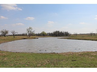 Tract 16 - LAND & MINERAL ACRES OKLAHOMA AUCTION, 588+/- Land & Producing Mineral Acres offered in 24 Tracts in Okmulgee County